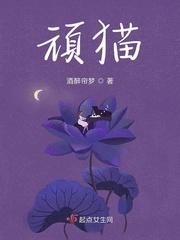 顽猫宠物小视频