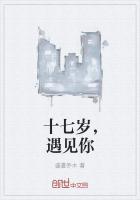 遇见17岁的我 歌曲