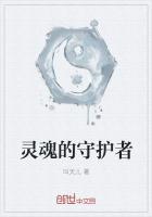灵魂的守护者意思