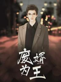 废婿为龙电视剧