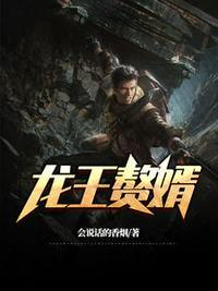 龙王婿免费完结全集txt