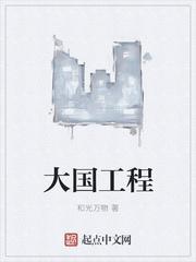 大国工程纪录片中国桥