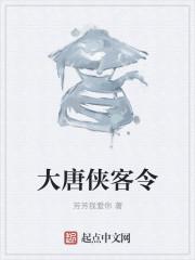 大唐侠客令激活码