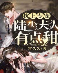 枕上专宠陆少夫人有点甜 常久久