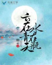 云在青天水在瓶 嘉靖
