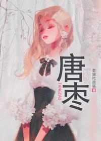 唐枣高速最新进展