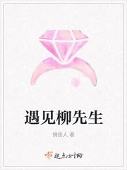 遇见陆先生免费阅读全文