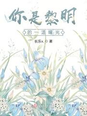 黎明的一道曙光作文