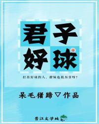 君子好逑电影怎么看