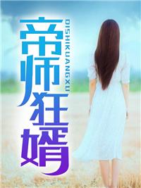 帝师狂婿TXT
