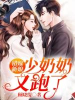 错嫁新娘少奶奶又跑了故事讲的什么