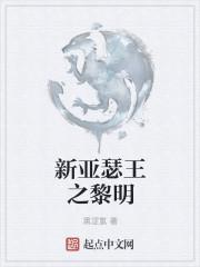 新亚瑟王怎么上不去了