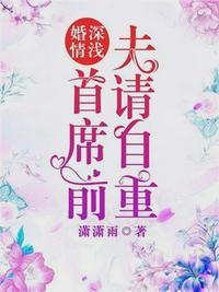 陆战北秦婉婷的免费阅读