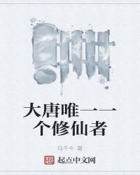 穿越大唐主角叫李云的