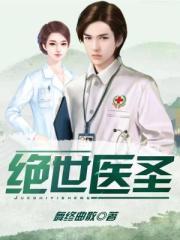 绝世医圣赘婿