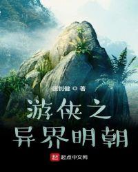 异界游侠为何没有灯芯