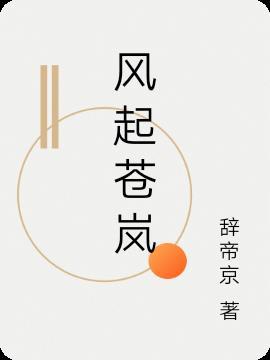 风起苍岚闻人醉