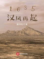 1635汉风再起txt奇书