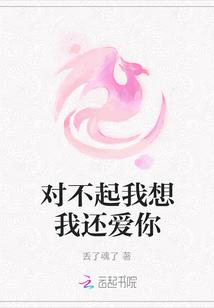 对不起我还爱你老版本