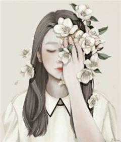 花开遇见你歌曲