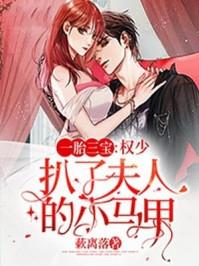 一胎三宝权少扒了夫人的小马甲全集