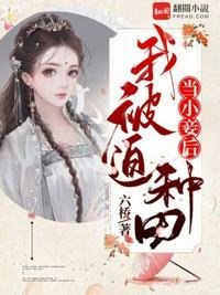 成为小妾