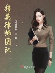 精英律师电视剧完整版