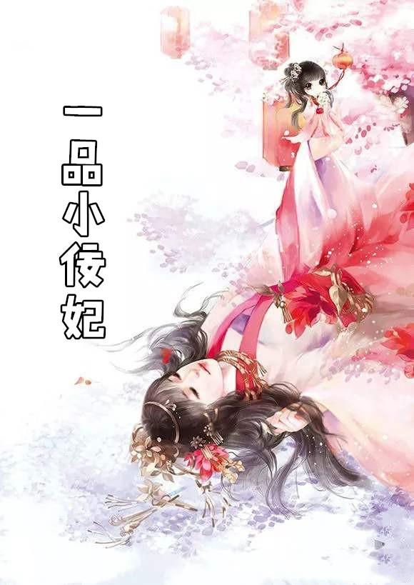 一品小妾