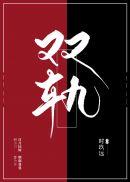 双轨by时玖远讲的什么故事
