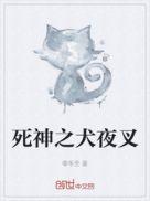 犬夜叉和死神那个影响力大