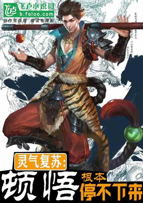 根本停不下来境界划分