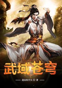 天域苍穹全文免费