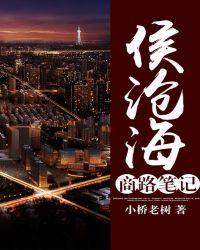 侯沧海商路笔记海洋听书