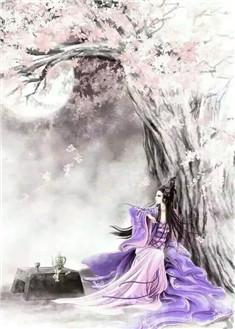 穆妍的穿越