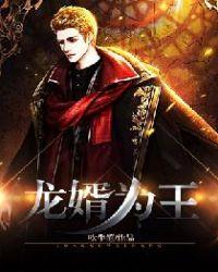 龙婿为王沈轩