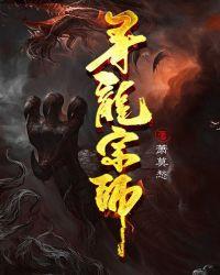 寻龙宗师苏婉玗