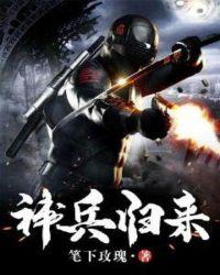 神兵归来林天林梦梦