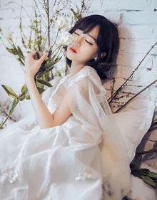 番茄唐医生闪婚吧