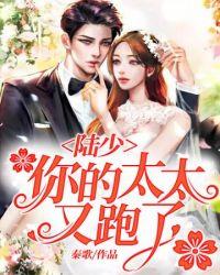 陆少婚宠陆太太你已婚