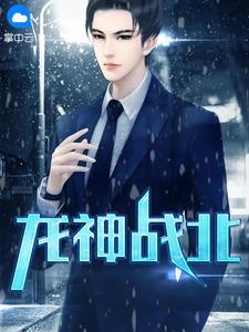 叶北苏婉全文免费阅读笔趣阁