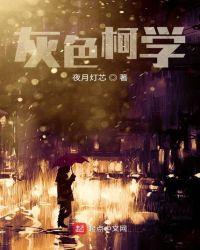 灰色柯基图片大全