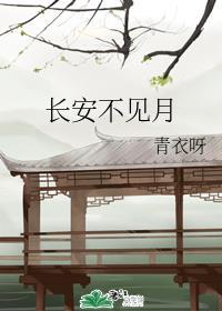 长安不见月结局是什么