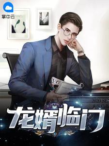 龙婿临门第二集