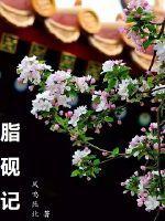 脂砚记 起点