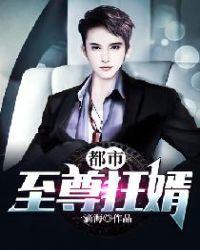 都市至尊狂婿全集完整版