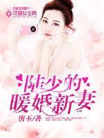 陆少的暖婚新妻正版