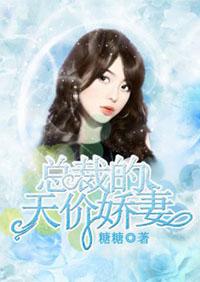 总裁天价小娇妻33天索爱