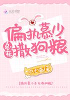 偏执慕少兔子娇妻