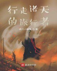 行走诸天的旅行者TXT