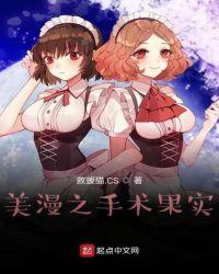 美漫之手术果实爱下电子书